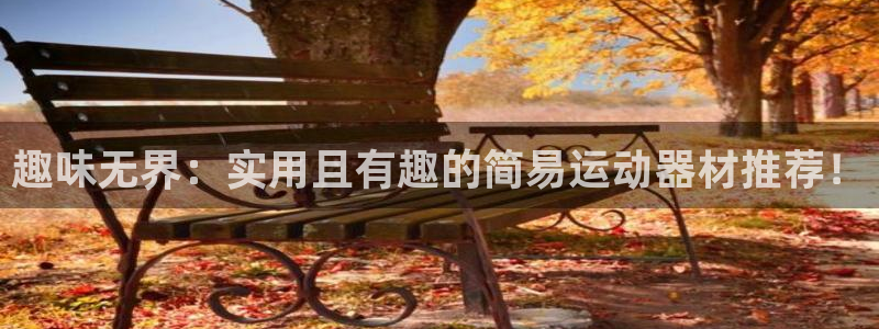 678体育官方正版app官网:趣味无界:实用且有趣的简易运动