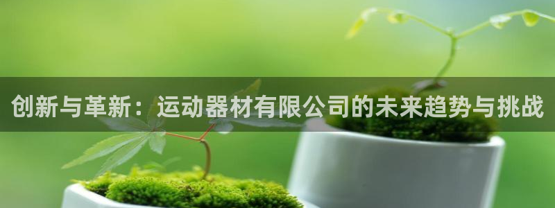 678体育官方正版app五金厂:创新与革新:运动器材有限公司