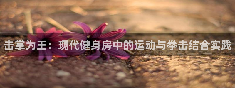 678体育官网下载平台注册流程图:击掌为王:现代健身房中的运